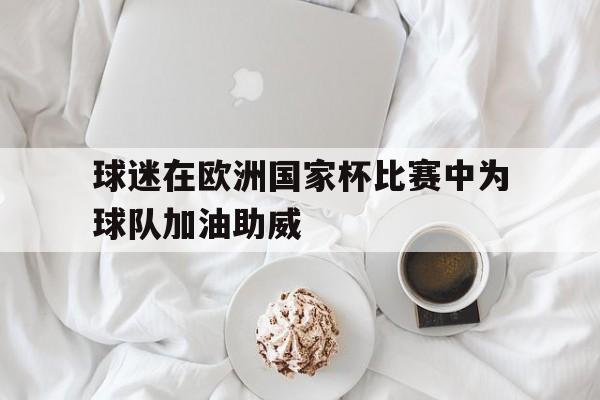 球迷在欧洲国家杯比赛中为球队加油助威