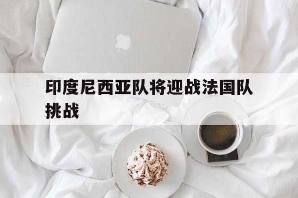 印度尼西亚队将迎战法国队挑战的简单介绍